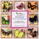 Flowers & Butterflies Mini Theme Image Book