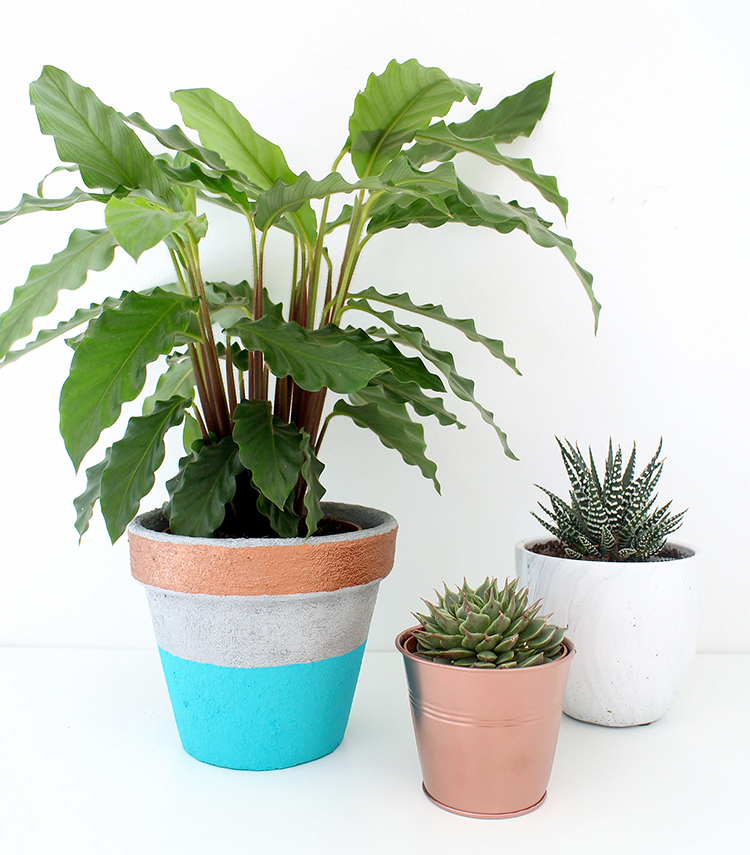 Easy concrete pot made with concrete paste and acrylic paint