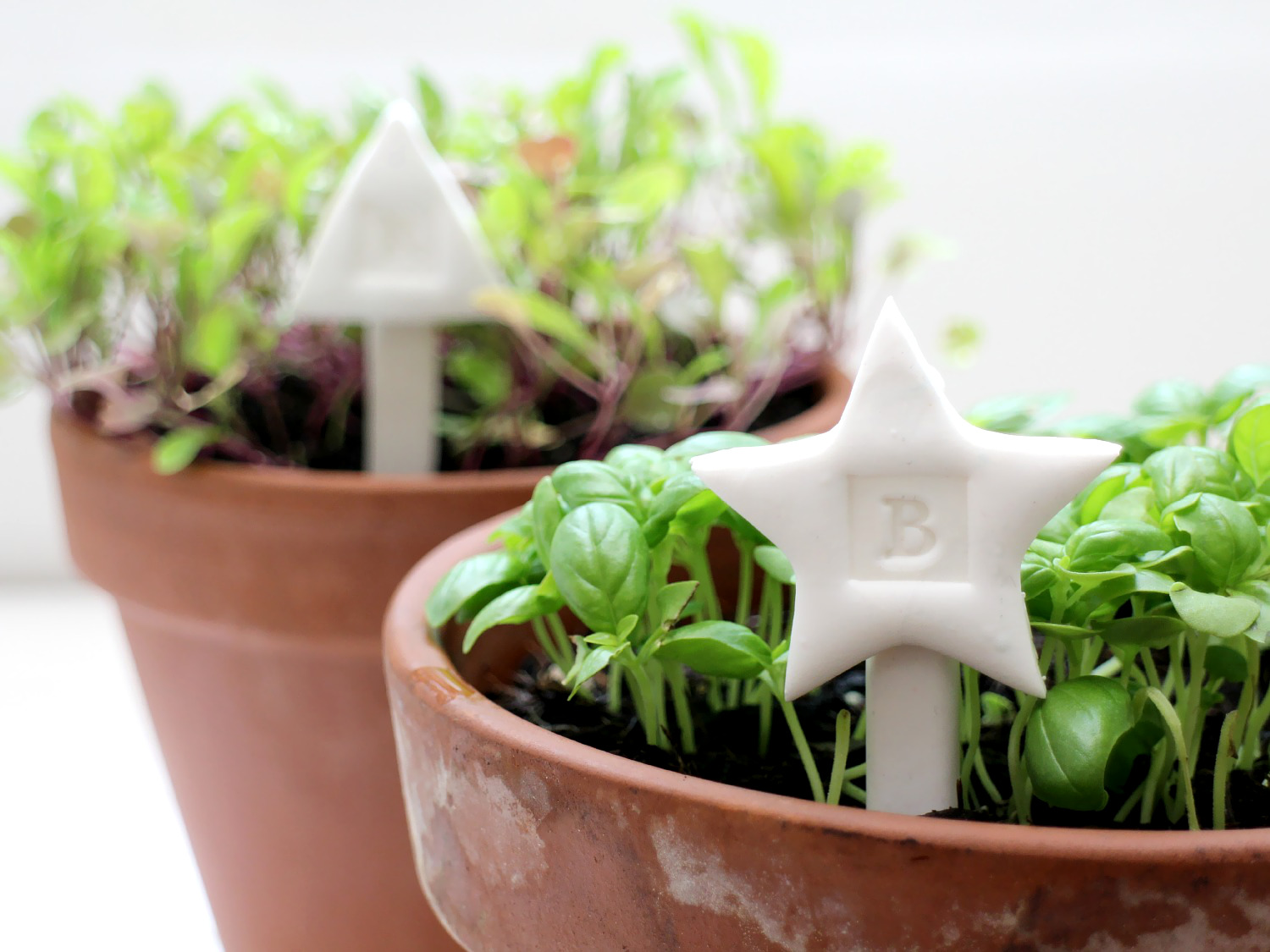 FIMO plant markers for basil